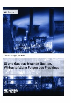 Öl und Gas aus frischen Quellen.Wirtschaftliche Folgen des Frackings (eBook, ePUB)