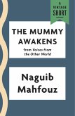 The Mummy Awakens (eBook, ePUB)