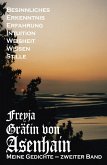 Meine Gedichte (eBook, ePUB)