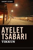 Tikkun (eBook, ePUB)