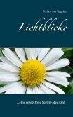 Lichtblicke (eBook, ePUB) Lichtblicke (eBook, ePUB)