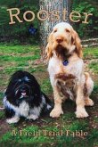 Rooster (eBook, ePUB)