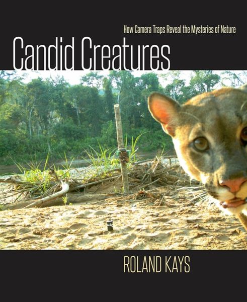 Candid Creatures (eBook, ePUB) Candid Creatures (eBook, ePUB)