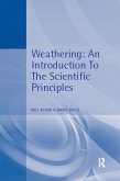 Weathering (eBook, ePUB)