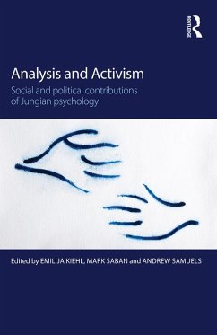 Analysis and Activism (eBook, PDF)