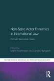 Non-State Actor Dynamics in International Law (eBook, ePUB)