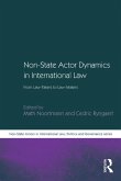 Non-State Actor Dynamics in International Law (eBook, PDF)