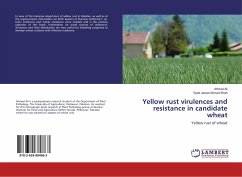 Yellow rust virulences and resistance in candidate wheat