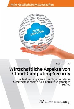 Wirtschaftliche Aspekte von Cloud-Computing-Security - Metzler, Dietmar