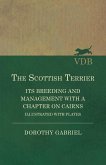 The Scottish Terrier - It's Breeding and Management With a Chapter on Cairns - Illustrated with plates