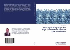 Self-Organizing Maps for High Dimensional Feature Space Problems - Sagheer, Alaa