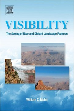 Visibility (eBook, ePUB) - Malm, William