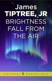 Brightness Falls from the Air (eBook, ePUB)