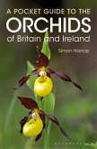 Pocket Guide to the Orchids of Britain and Ireland (eBook, PDF)