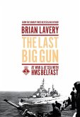 Last Big Gun (eBook, ePUB)