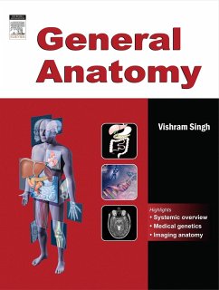 The Anatomical Terminology (eBook, ePUB) - Singh, Vishram