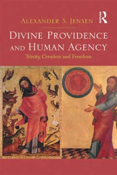 Cover Divine Providence and Human Agency (eBook, PDF)