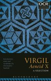 Virgil Aeneid X: A Selection (eBook, PDF)