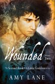 Wounded, Vol. 2 (eBook, ePUB) Wounded, Vol. 2 (eBook, ePUB)
