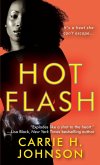 Hot Flash (eBook, ePUB)