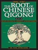 Root of Chinese Qigong (eBook, ePUB)