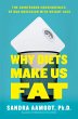Why Diets Make Us Fat (eBook, ePUB) - Bild 1