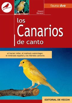 Los canarios de canto (eBook, ePUB) - Ravazzi, Gianni