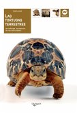 Las tortugas terrestres (eBook, ePUB)