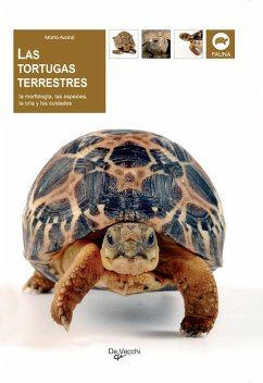 Las tortugas terrestres (eBook, ePUB) - Avanzi, Marta