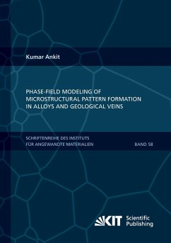 Phase-field modeling of microstructural pattern formation in alloys and geological veins - Ankit, Kumar