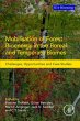 Mobilisation of Forest Bioenergy in the... - Bild 1