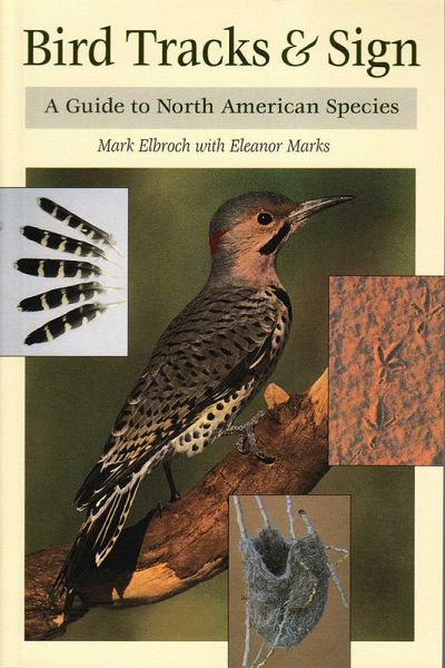 Bird Tracks & Sign (eBook, ePUB)