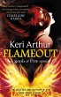 Flameout (eBook, ePUB) - Bild 1