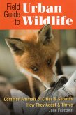 Field Guide to Urban Wildlife (eBook, ePUB)