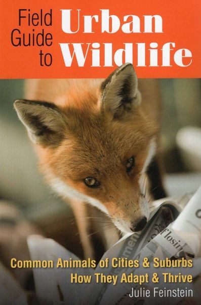 Field Guide to Urban Wildlife (eBook, ePUB)