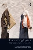 Consuming Space (eBook, ePUB)
