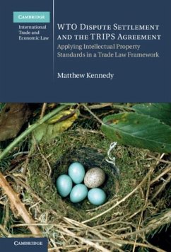 WTO Dispute Settlement and the TRIPS Agreement (eBook, PDF) - Kennedy, Matthew
