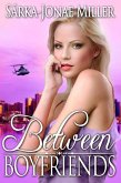 Between Boyfriends: Free Romantic Comedy (The Between Boyfriends Series, #1) (eBook, ePUB) Between Boyfriends: Free Romantic Comedy (The Between Boyfriends Series, #1) (eBook, ePUB)