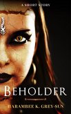 Beholder (eBook, ePUB)