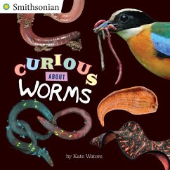 Curious about Worms - Waters, Kate