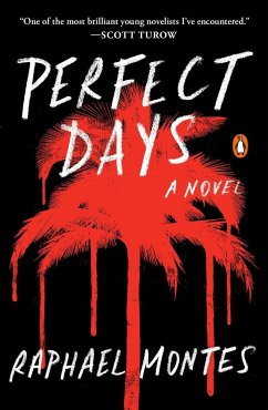 Perfect Days - Montes, Raphael