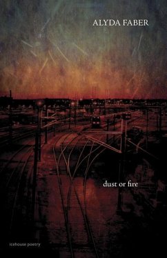 Dust or Fire - Faber, Alyda