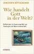 Wie handelt Gott in der Welt? (eBook,... - Bild 1