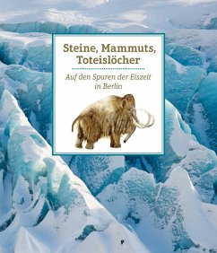 Steine, Mammuts, Toteislöcher - Witzel, Beate