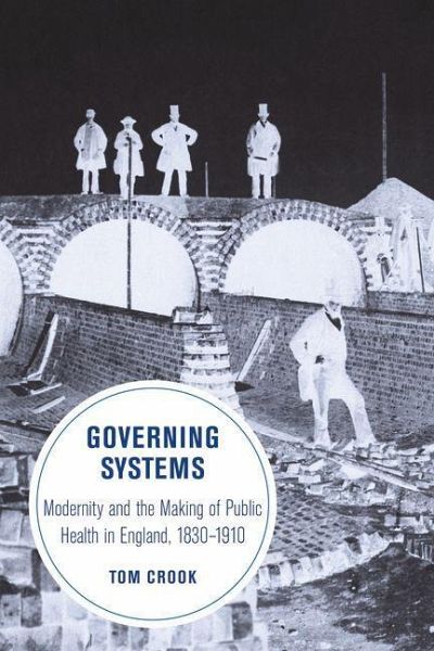 Governing Systems (eBook, ePUB) Governing Systems (eBook, ePUB)