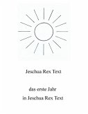 Das erste Jahr in Jeschua Rex Text (eBook, ePUB)