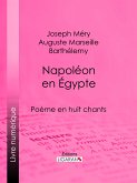 Napoléon en Égypte (eBook, ePUB)