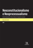 Neoconstitucionalismo e Neoprocessualismo: Direitos Fundamentais, Políticas Públicas e Protagonismo Judiciário (eBook, ePUB)