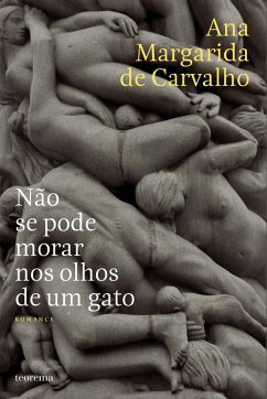 Cover Não Se Pode Morar nos Olhos de Um Gato (eBook, ePUB)