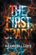 The First Spark - Bild 1